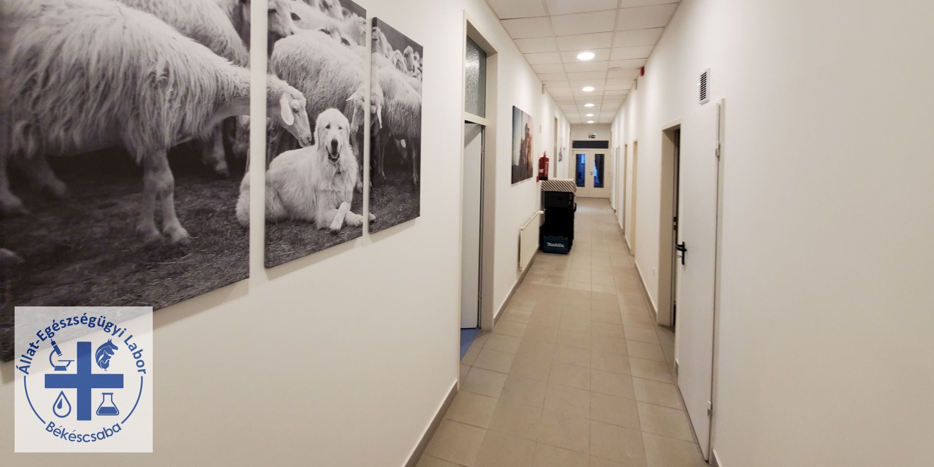 Állat-Egészségügyi labor Békéscsaba